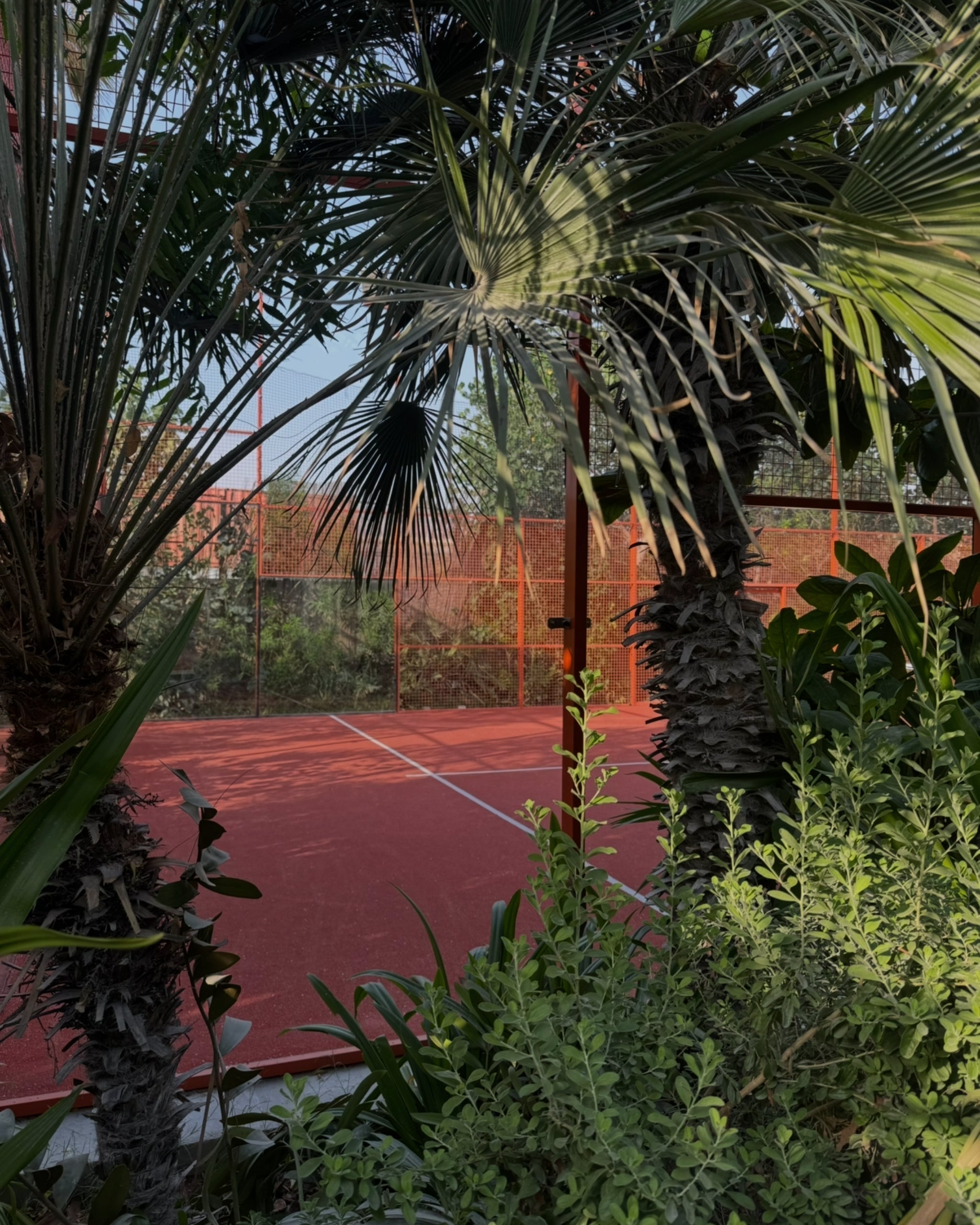 Why Padel Is the Most Social Sport in the World